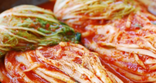 How to cook Kimchi  Korea Famous Dish